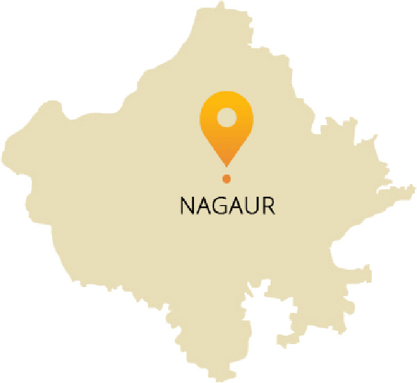 Kalpataru Ardene Nagpur Location Map